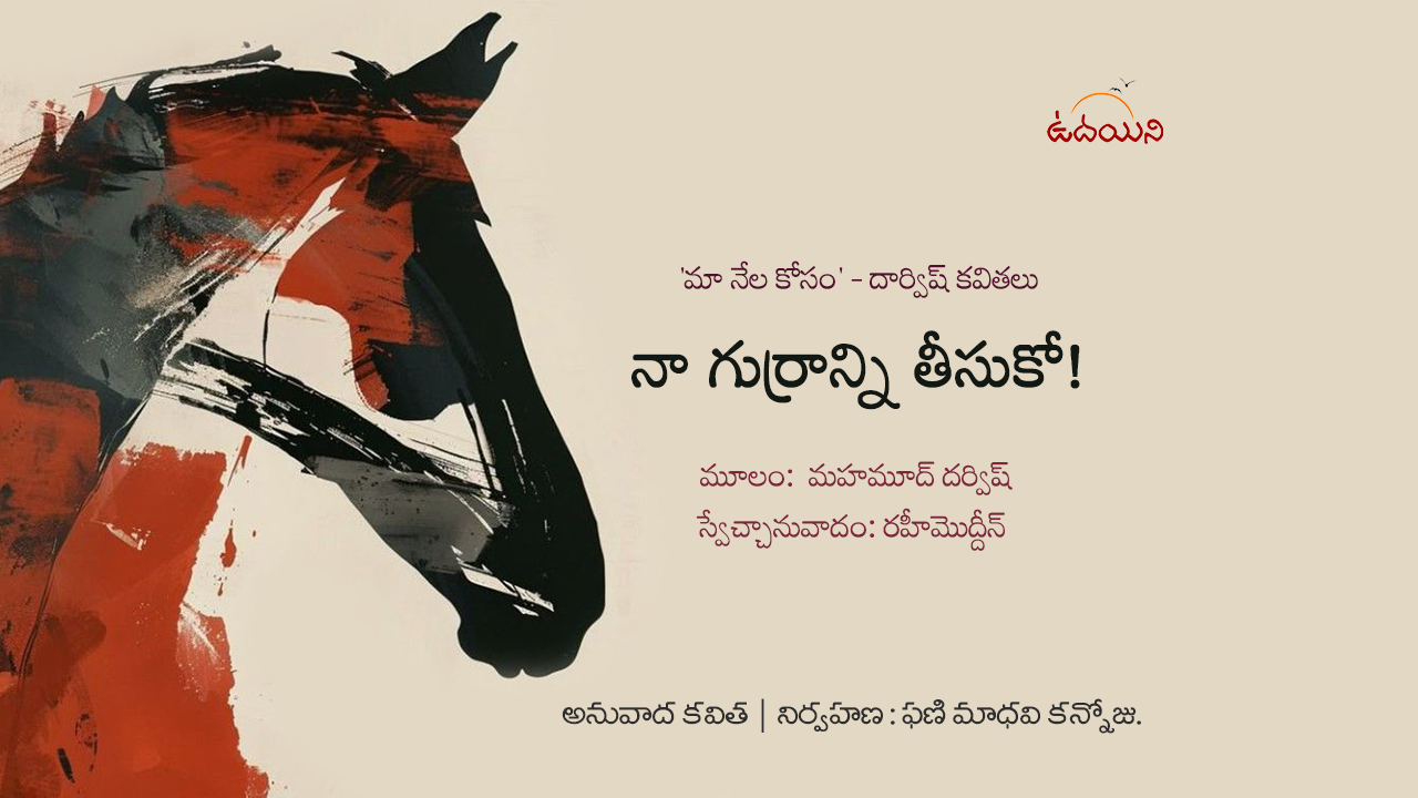 నా గుర్రాన్ని తీసుకో!