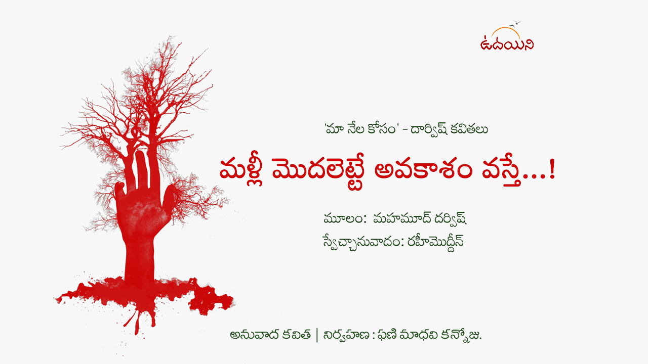మళ్లీ మొదలెట్టే అవకాశం వస్తే…!